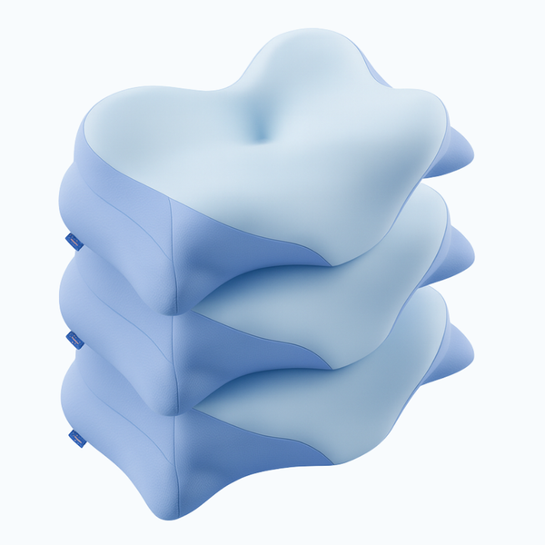 3 x Levora Dream Kissen