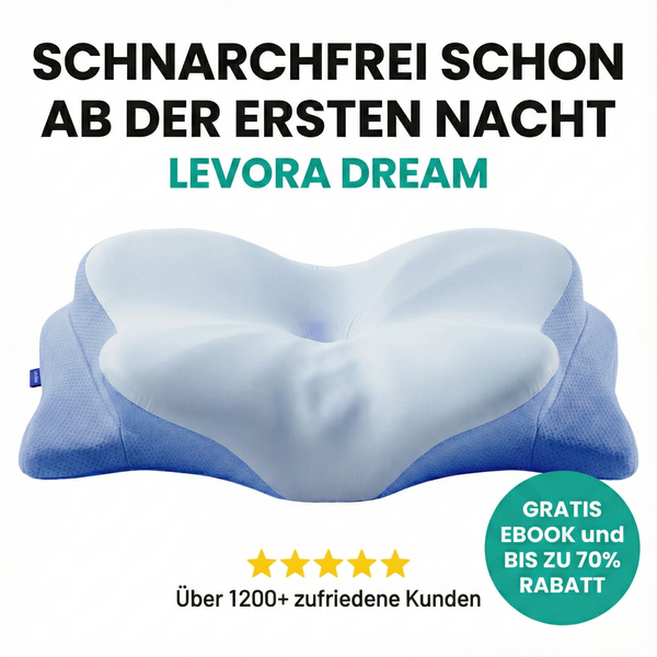 4 x Levora Dream Ergo Kissen