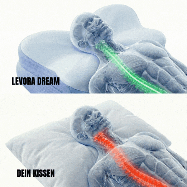 Levora Dream - Ergo Kissen